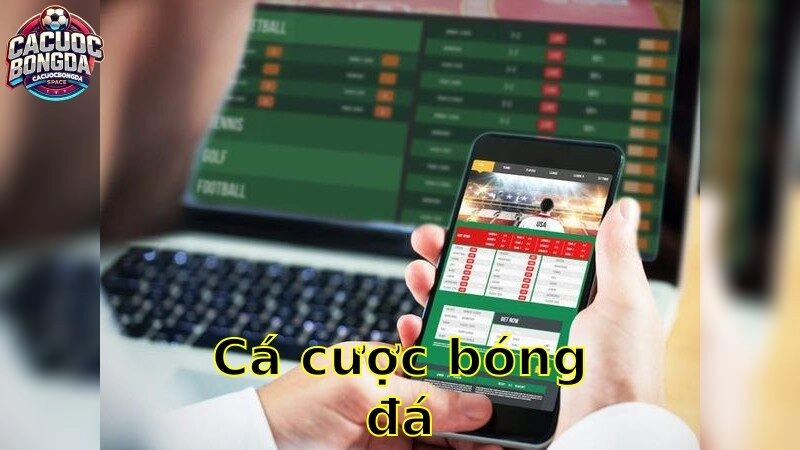 niftycase.io