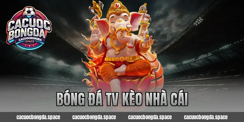 bóng đá tv kèo nhà cái
