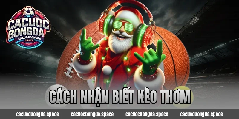 Đừng Đặt Cược Nếu Chưa Biết Cách Nhận Biết Kèo Thơm Này