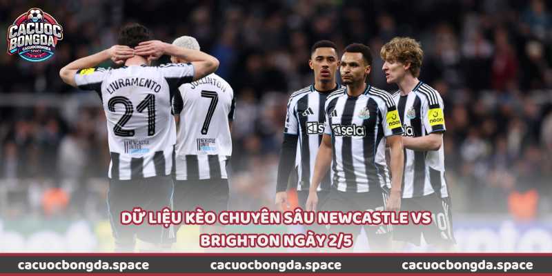 Dữ liệu kèo chuyên sâu Newcastle vs Brighton ngày 2/5
