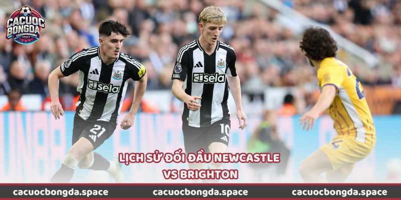 Lịch sử đối đầu Newcastle vs Brighton