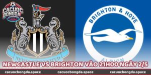 Nhận Định Bóng Đá Newcastle Vs Brighton Vào 21H00 Ngày 2/5